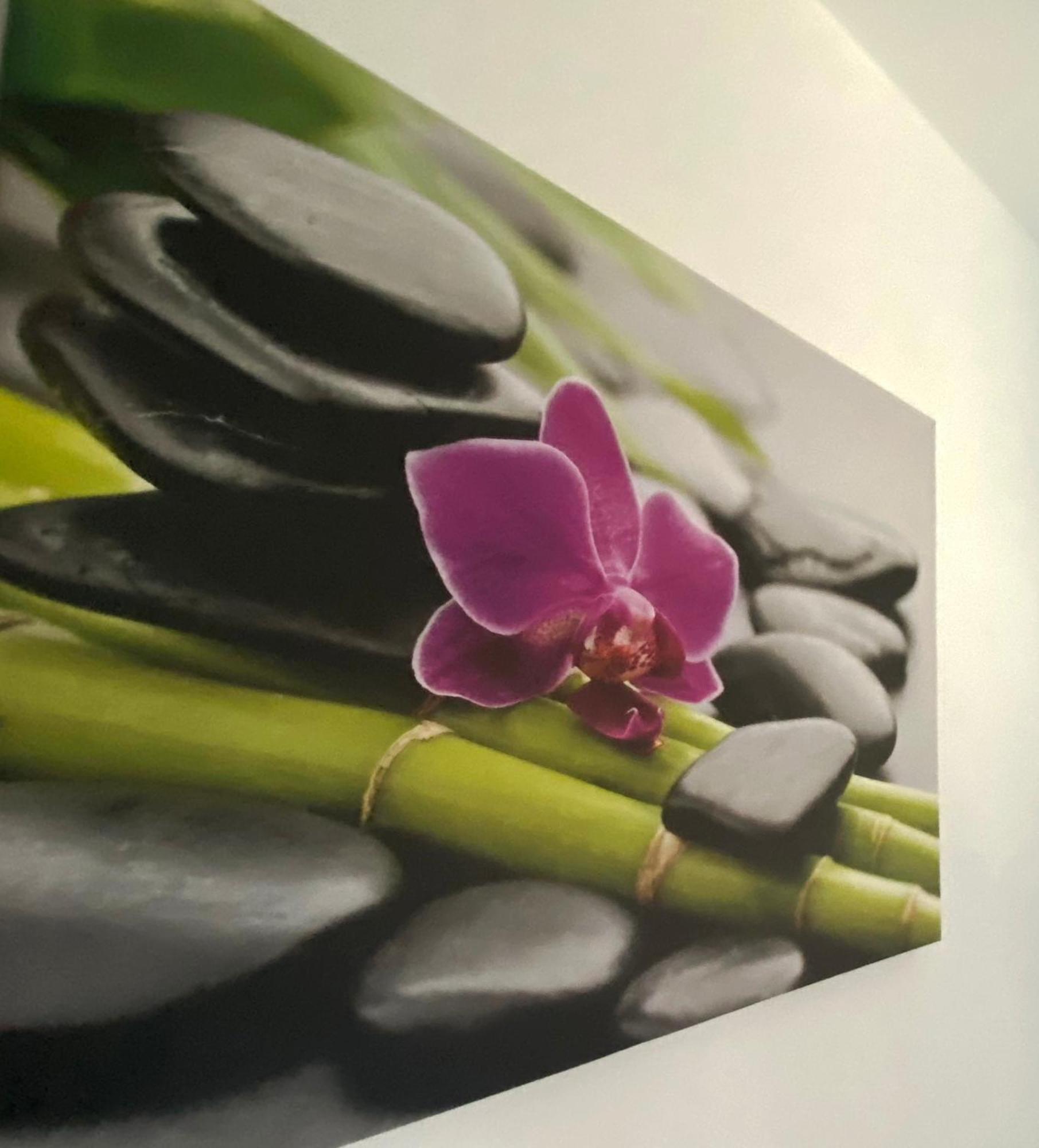 Four Flowers Apartman Siófok Zewnętrze zdjęcie